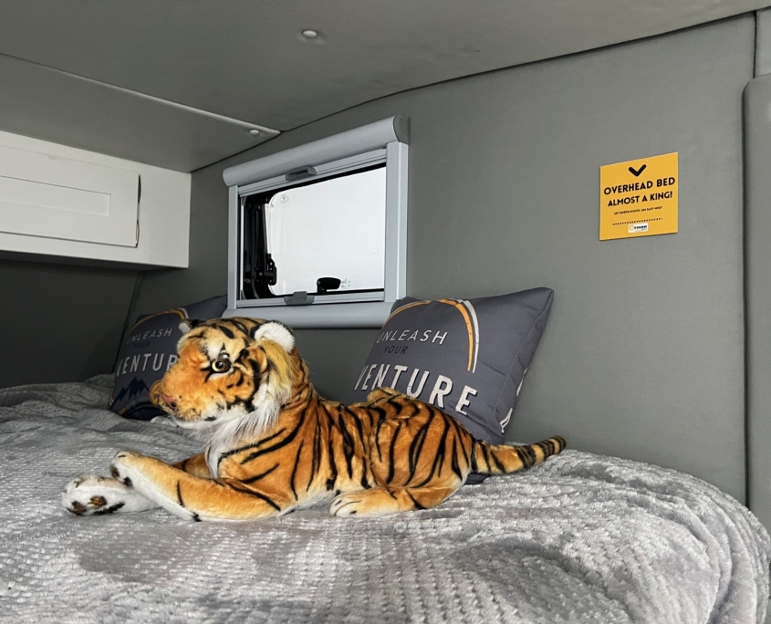 Overhead Bed | Tiger Adventure Vehicles Tiger Panthera overhead bed with stuffed tiger toy, gray bedding, and Unleash Your Venture pillows