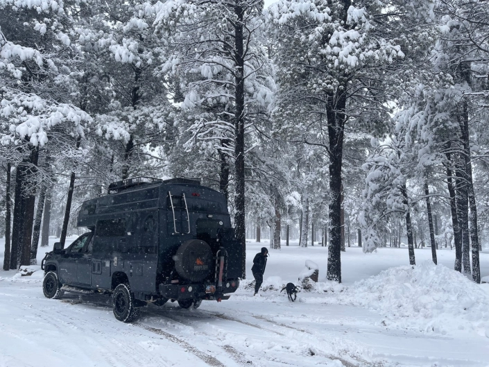 Tiger Adventure Rv 2