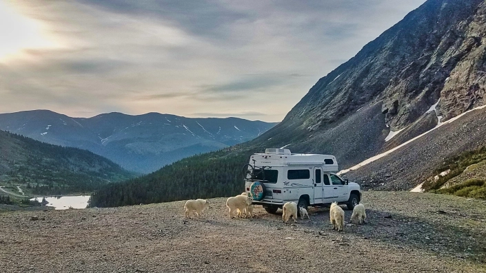 Tiger Off Road Camper Vehicles