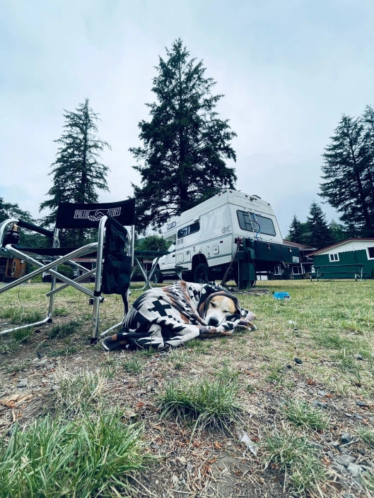 Tiger Overland Truck