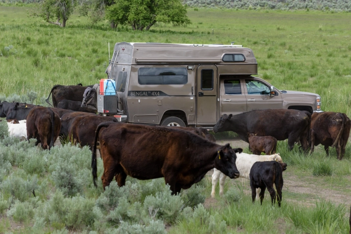 Tiger Overland Truck