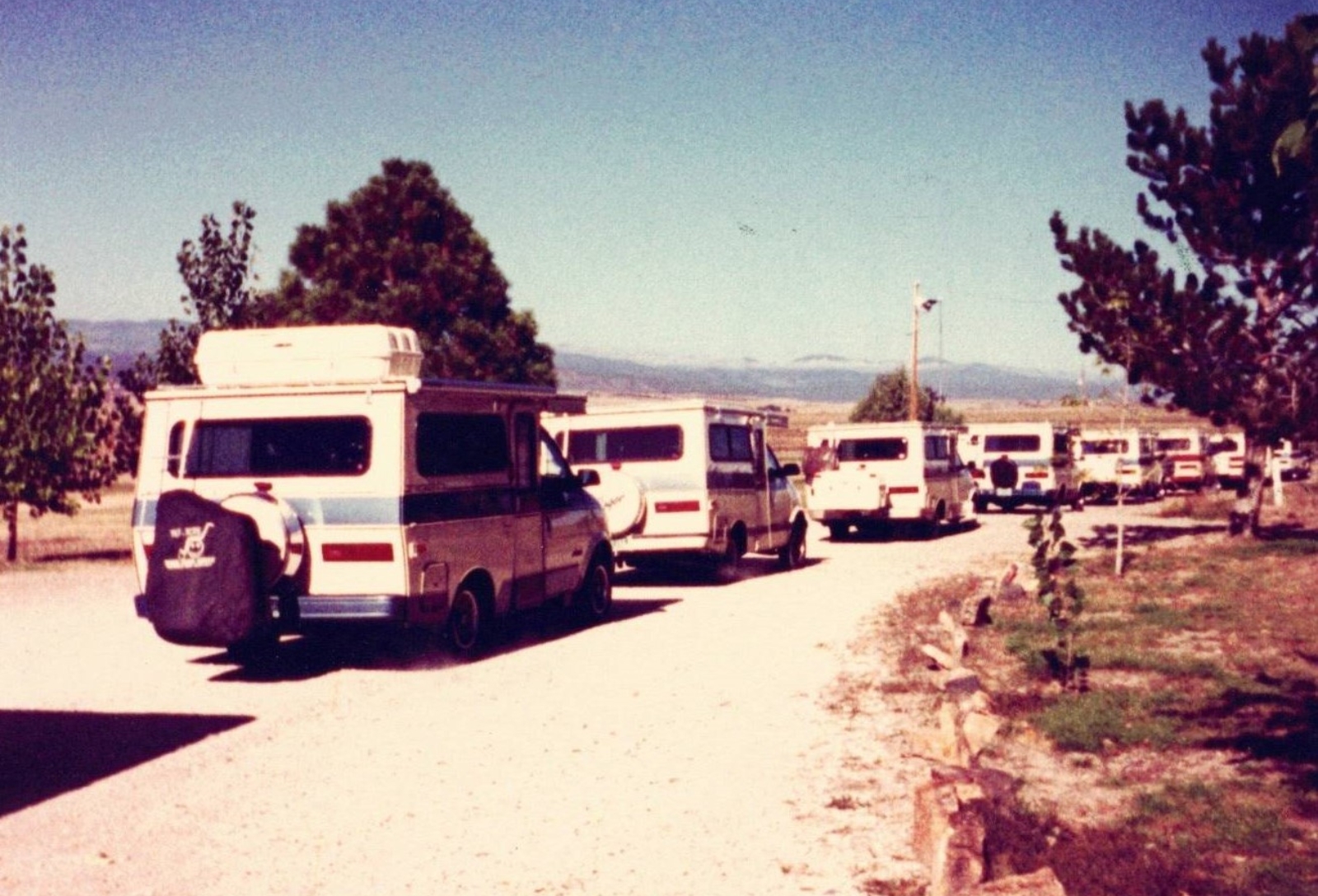 Line of white and blue camper vans parked along a dusty road with trees and hills in the background.